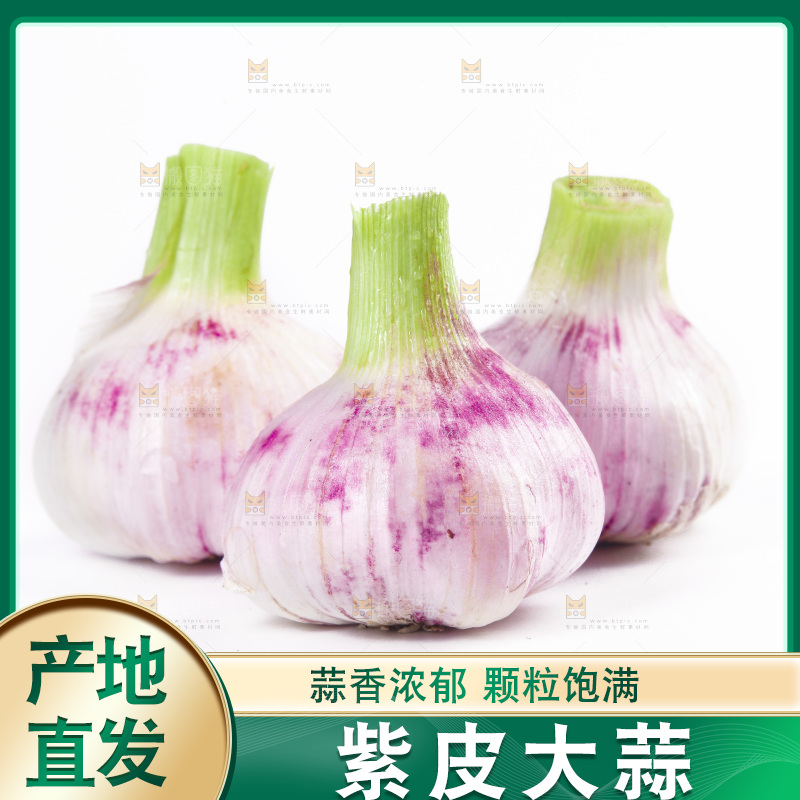 白底上的大蒜