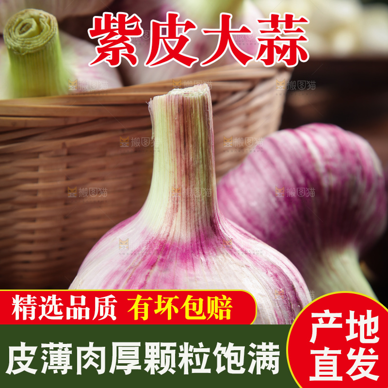 木底上的大蒜头