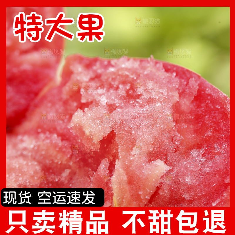 新鲜沙瓤西红柿