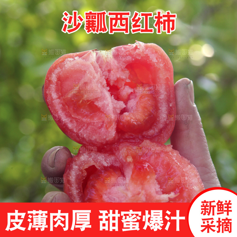 手里拿着沙瓤番茄