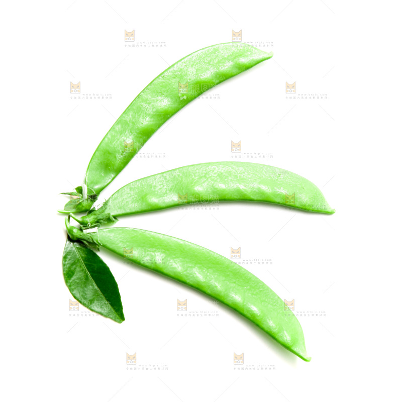 浅底上的荷兰豆