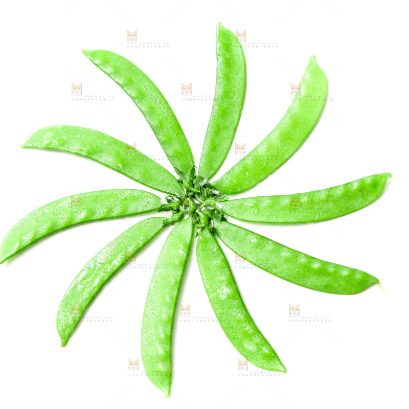浅底上的荷兰豆