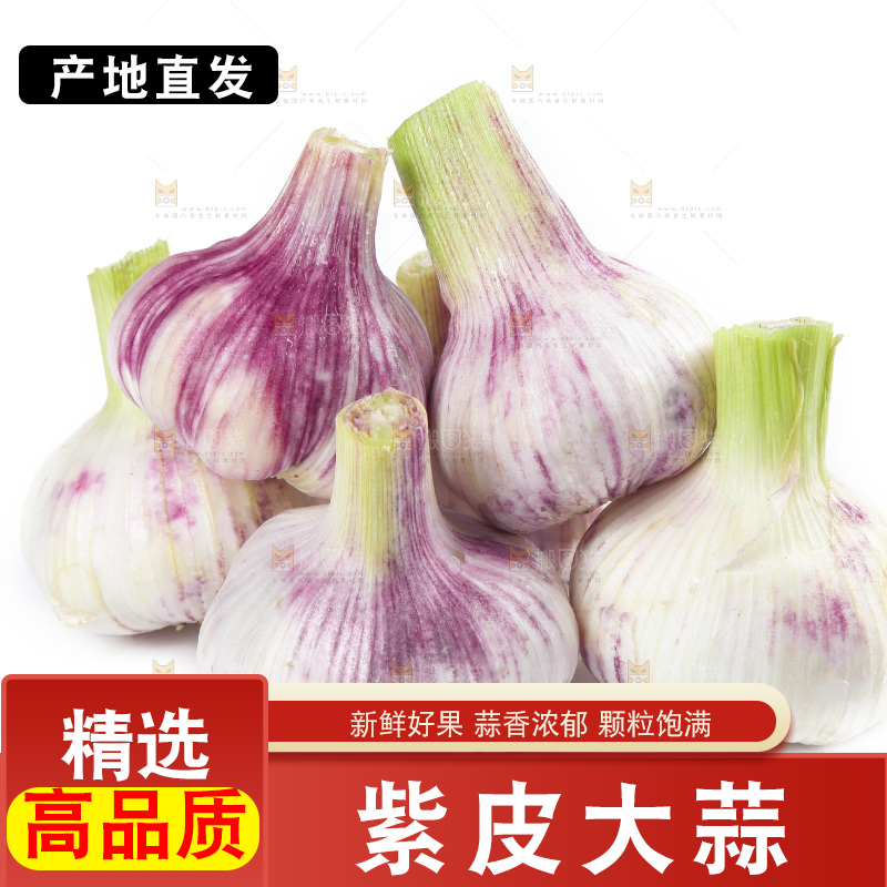 白底上的大蒜