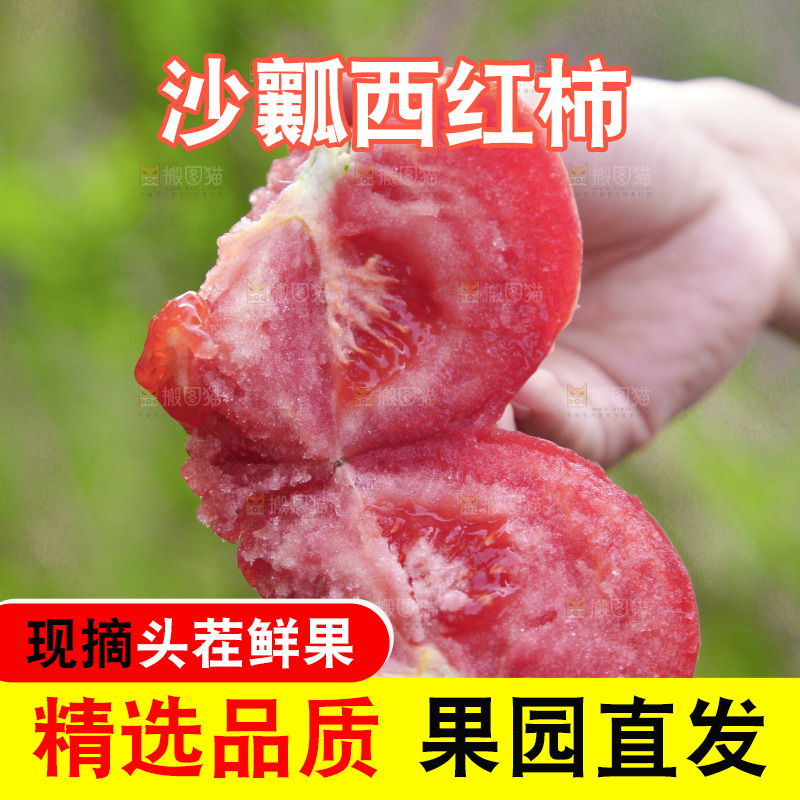 手里拿着沙瓤番茄