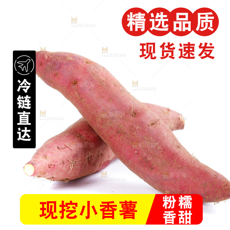 白底上的临安小香薯