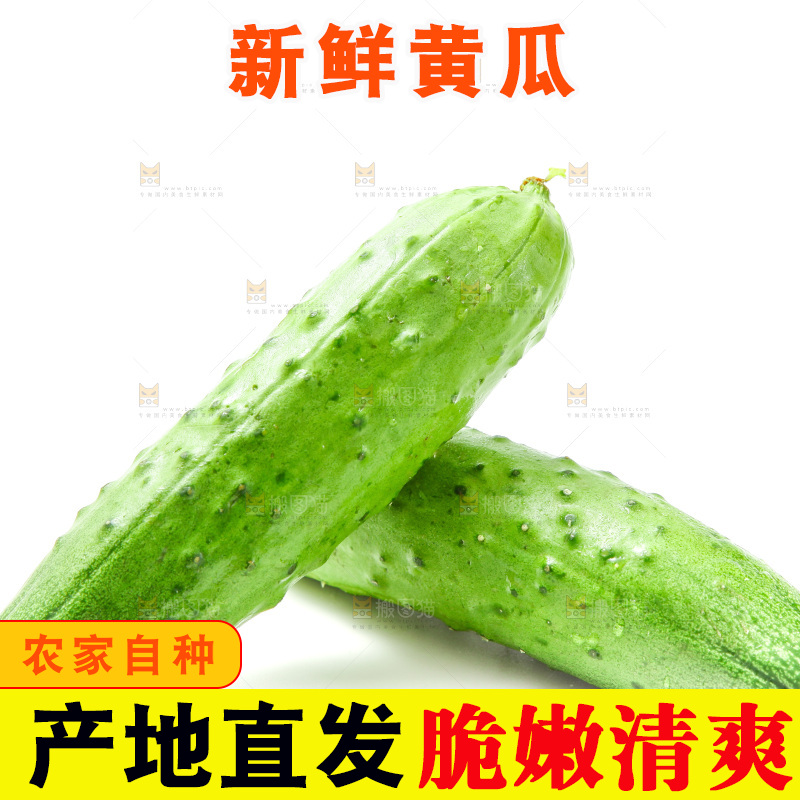 白底上放着旱黄瓜