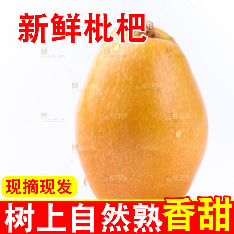 白底上的枇杷