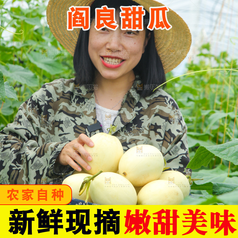 一篮新鲜阎良甜瓜