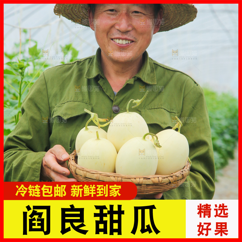 一篮新鲜阎良甜瓜