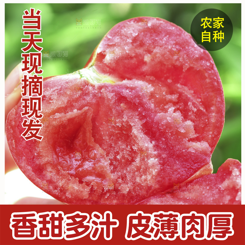新鲜沙瓤西红柿