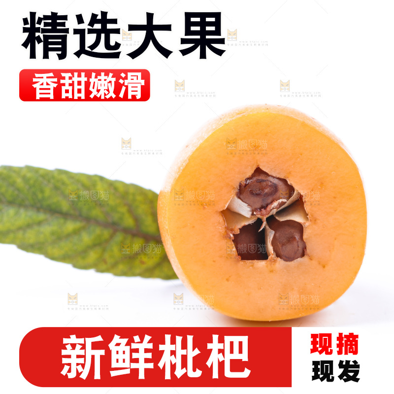白底上的枇杷