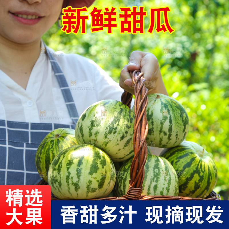 手里提着一篮花蕾香瓜
