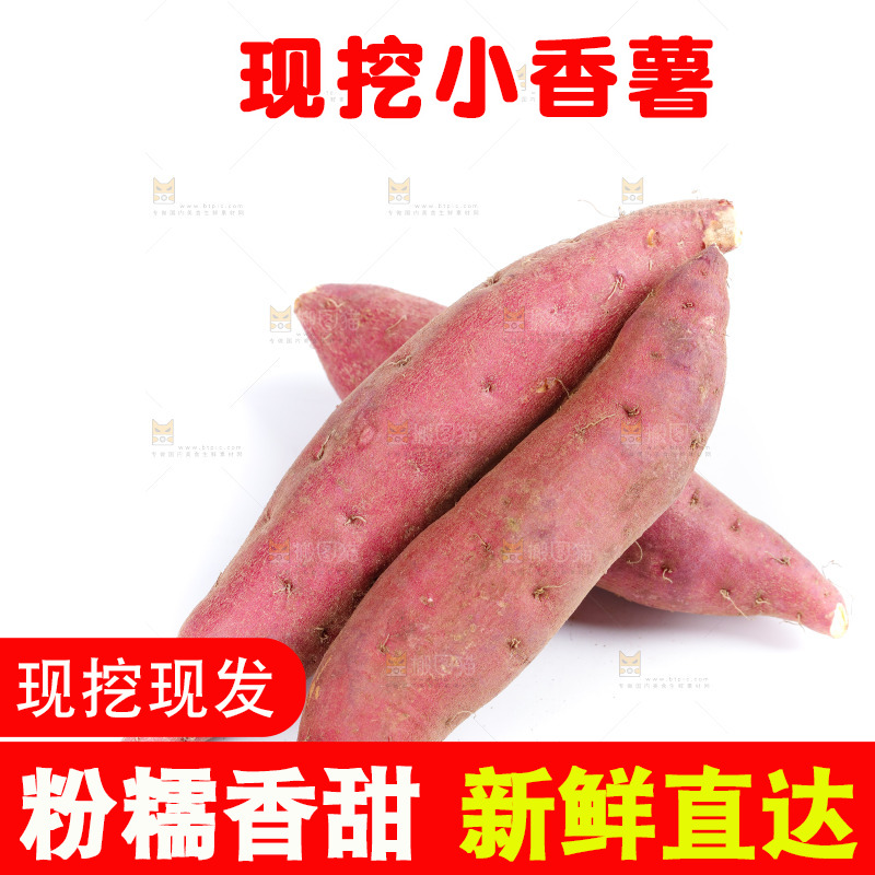 白底上的临安小香薯