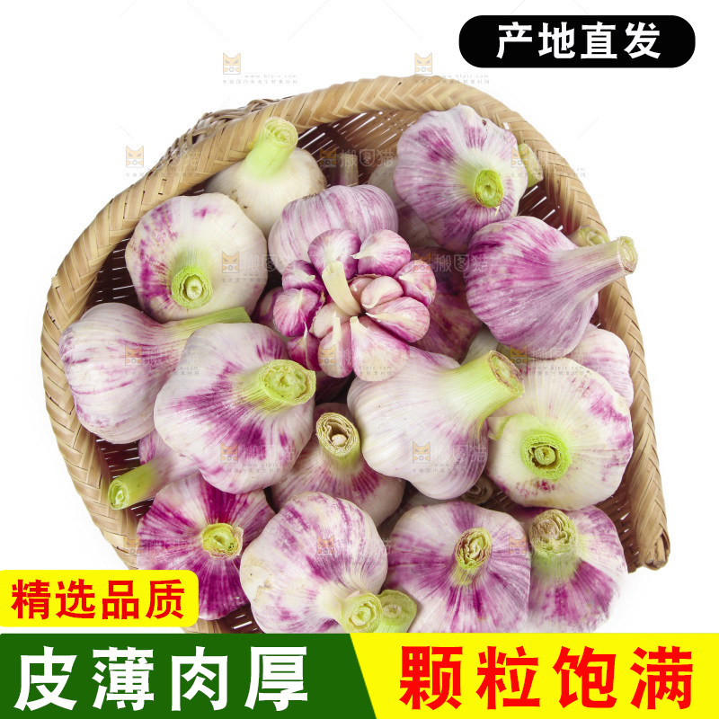 白底上放着一篮新鲜大蒜