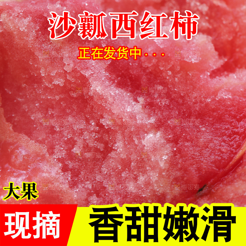 新鲜沙瓤西红柿
