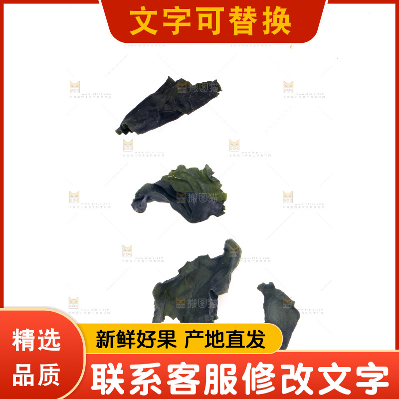 白底上摆放着裙带菜