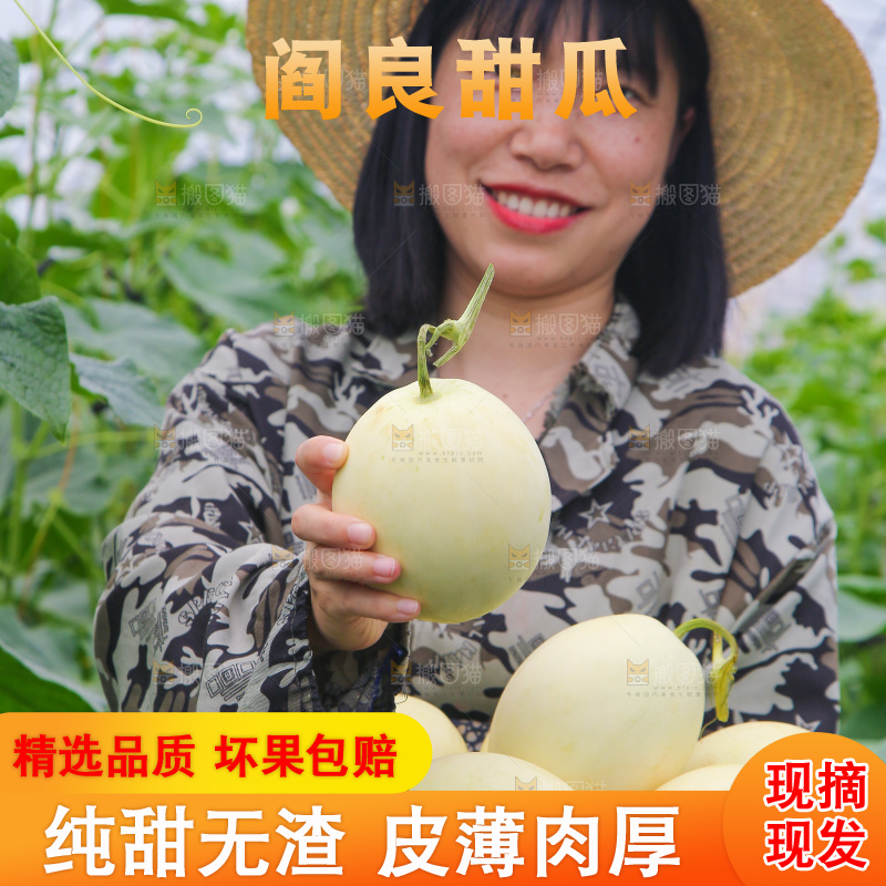 手里端着一篮阎良小甜瓜