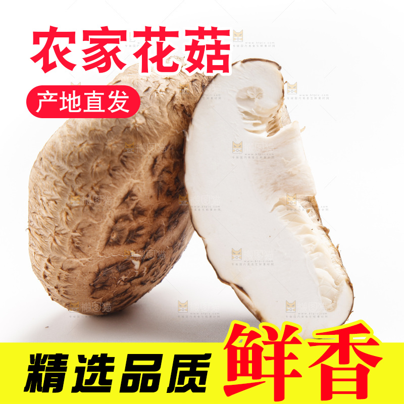 白底上放着花菇