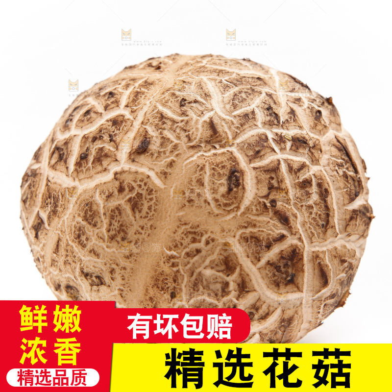 白底上放着花菇