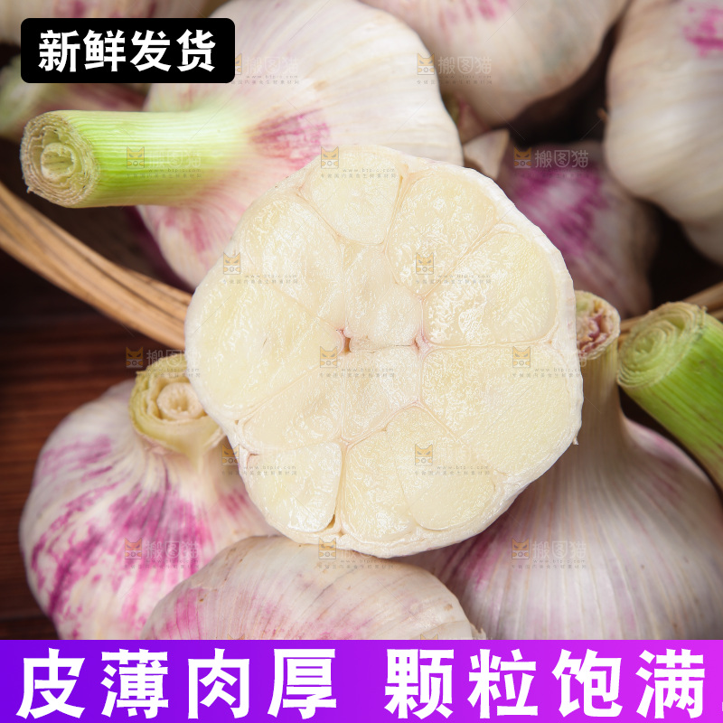 一堆新鲜紫皮大蒜