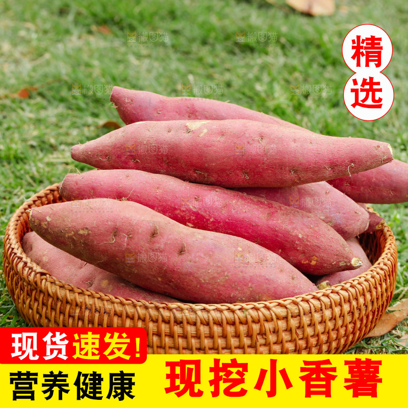 一篮天目山小香薯