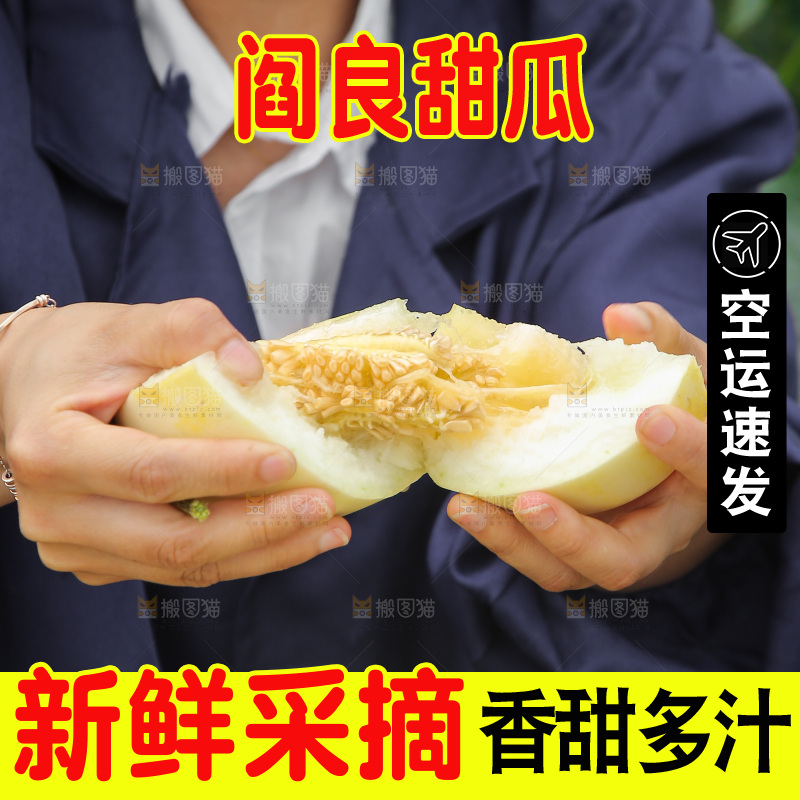手里拿着阎良甜瓜
