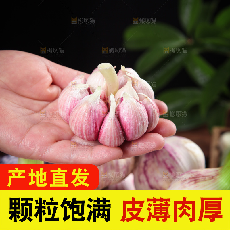 手里拿着多瓣蒜