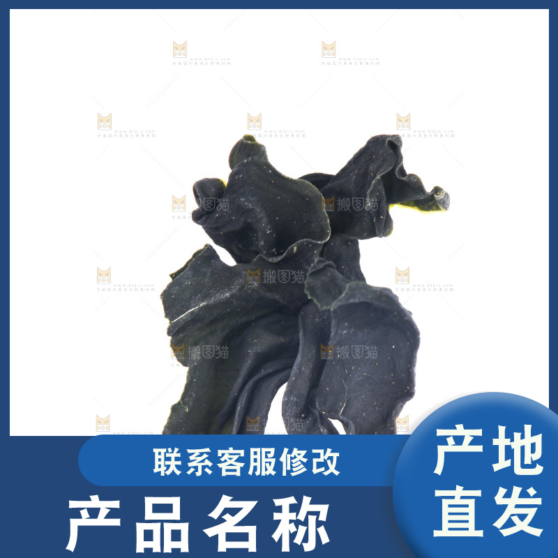白底上放着裙带菜