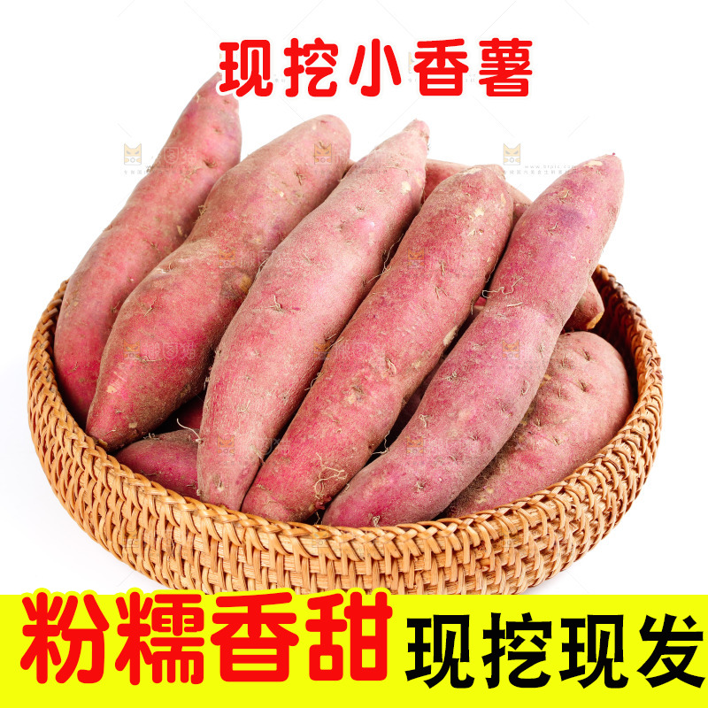 一篮天目山小香薯