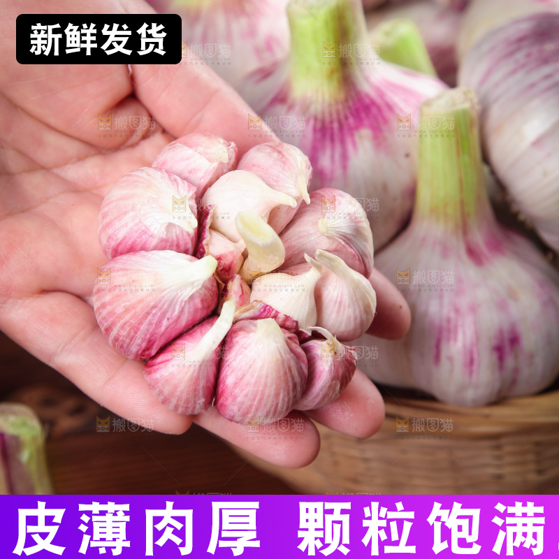 手里拿着多瓣蒜