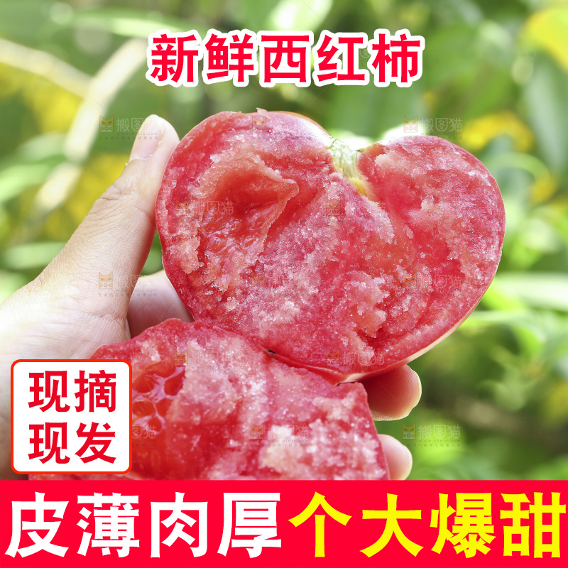手里拿着沙瓤西红柿