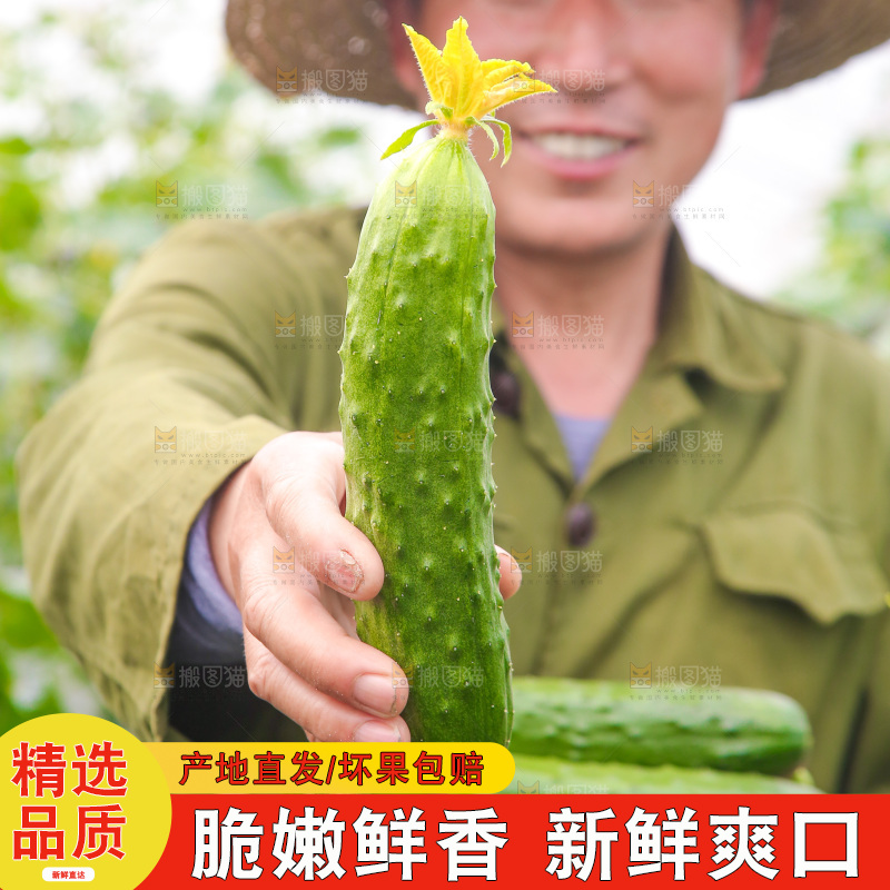 手里拿着水果黄瓜