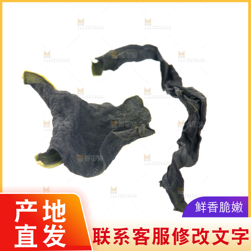 白底上摆放着裙带菜