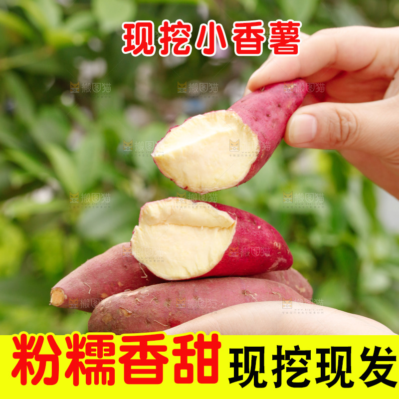 手里拿着小香薯