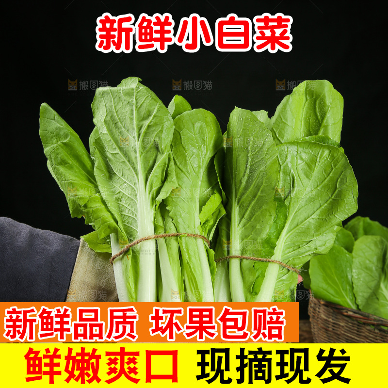 手里拿着小白菜
