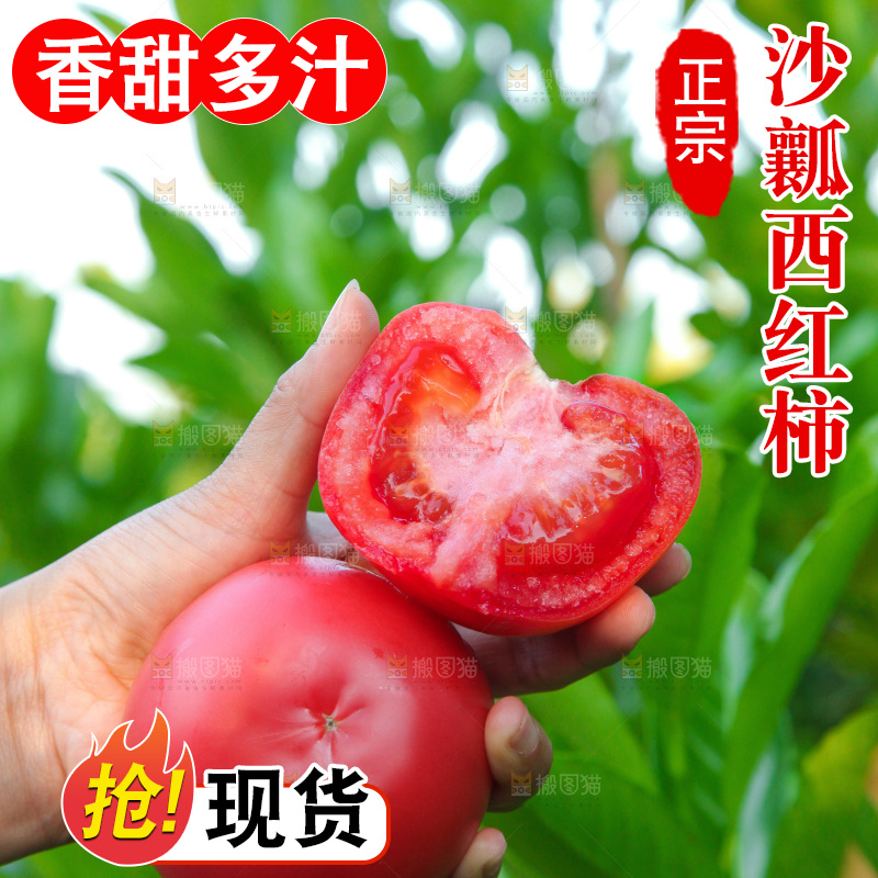 手里拿着沙瓤番茄