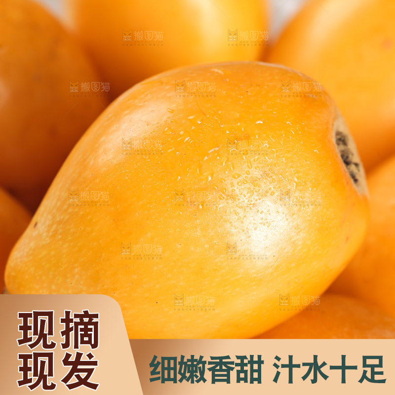 一堆新鲜大枇杷