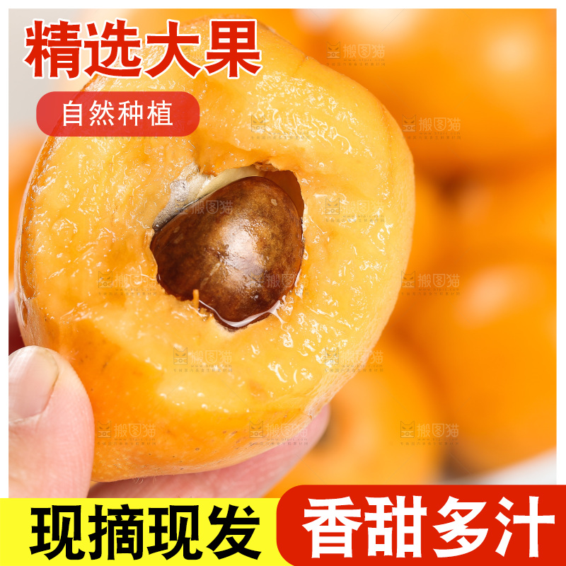 手里拿着大枇杷