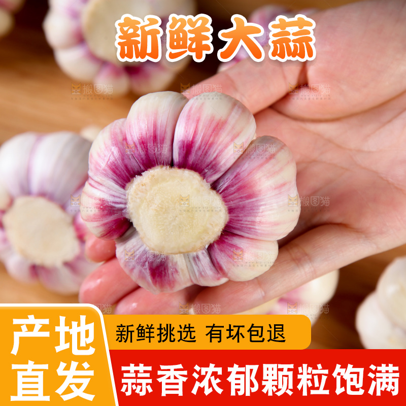 新鲜大蒜纹理