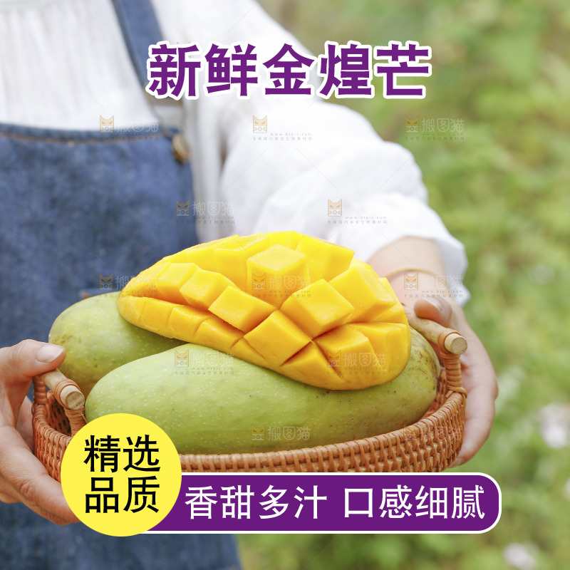 手里端着一篮金煌芒
