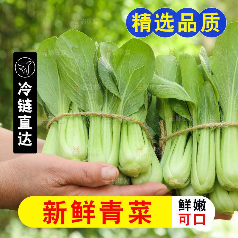 手里拿着上海青