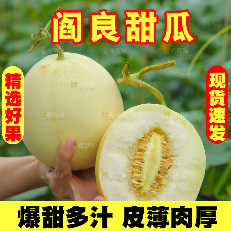 手里拿着阎良甜瓜