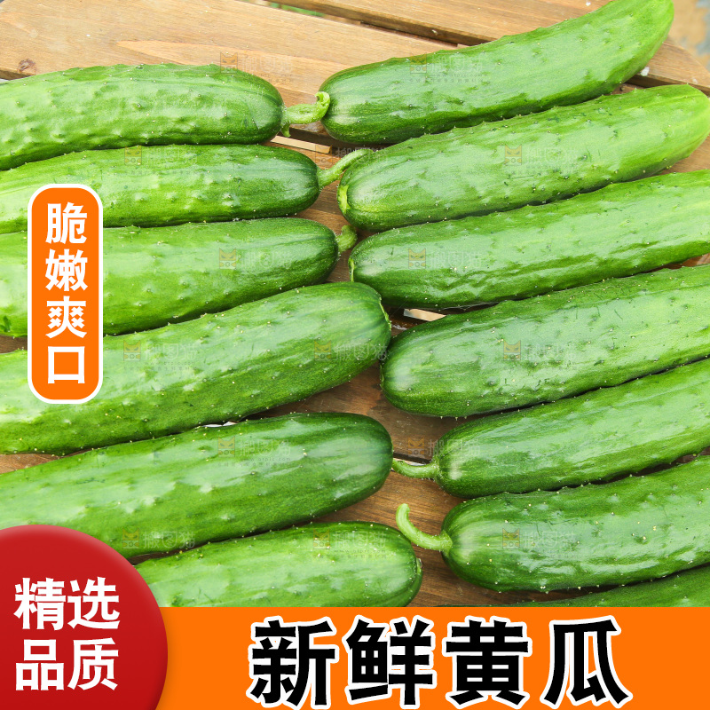 桌子上放着一堆黄瓜