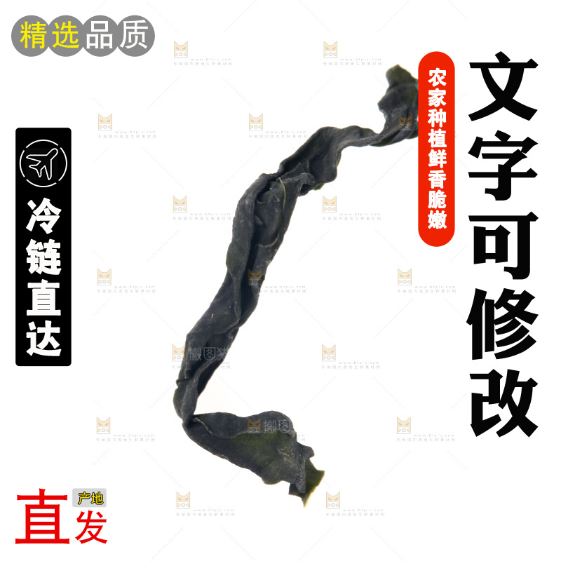白底上摆放着裙带菜