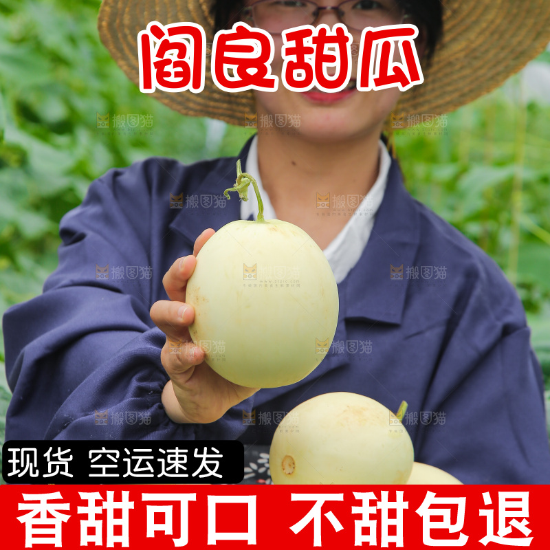 手里拿着阎良甜瓜