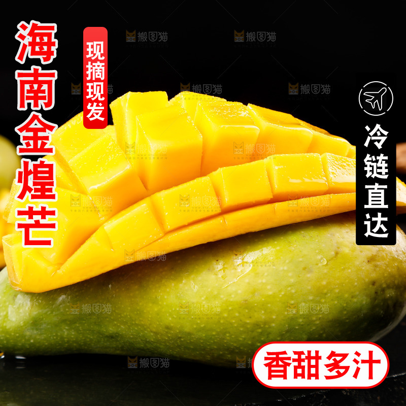 黑底上放着海南金煌芒