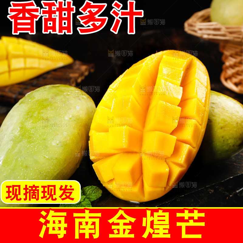 黑底上放着海南金煌芒