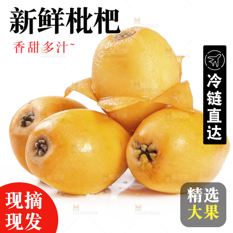 一堆新鲜大枇杷