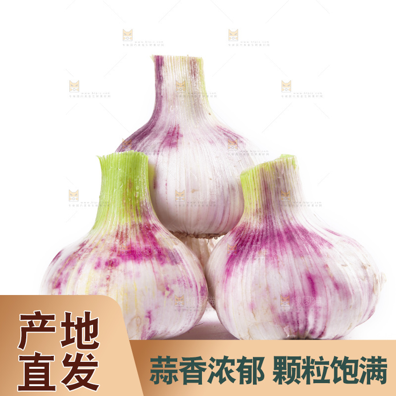 白底上的大蒜