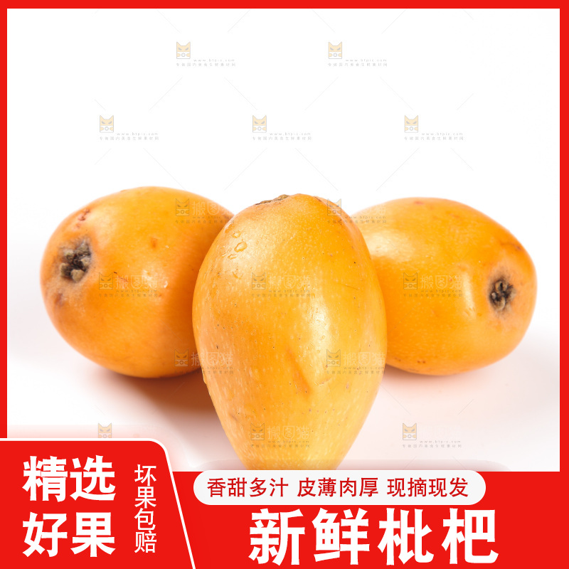 白底上的米易枇杷